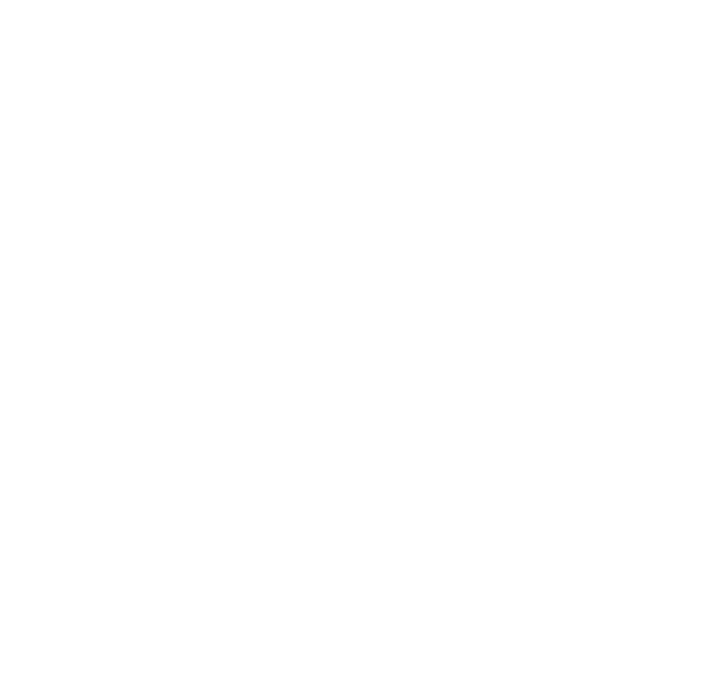 FayCo Modern Logo White